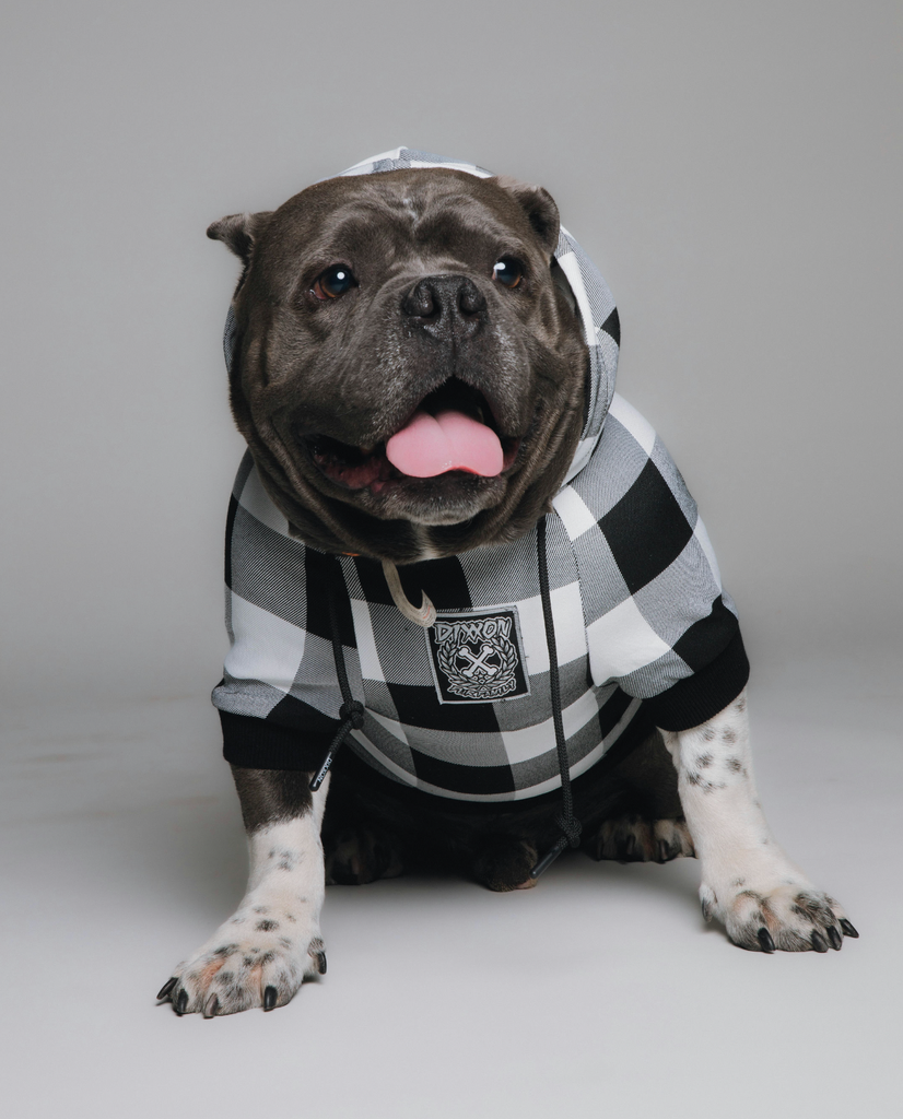 Gringo Dog Hoodie – Dixxon Flannel Australia